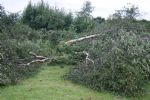Peel Holdings Destruction at Birchfield Salford 